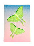 Risograph Print - Luna Moths Flying 5x7"