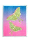 Risograph Print - Luna Moth 8.5x11"