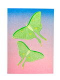 Risograph Print - Luna Moths Flying 5x7"