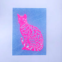 Risograph Print - Glowing Pink Cat 5x7"
