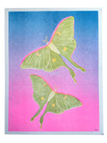 Risograph Print - Luna Moth 8.5x11"
