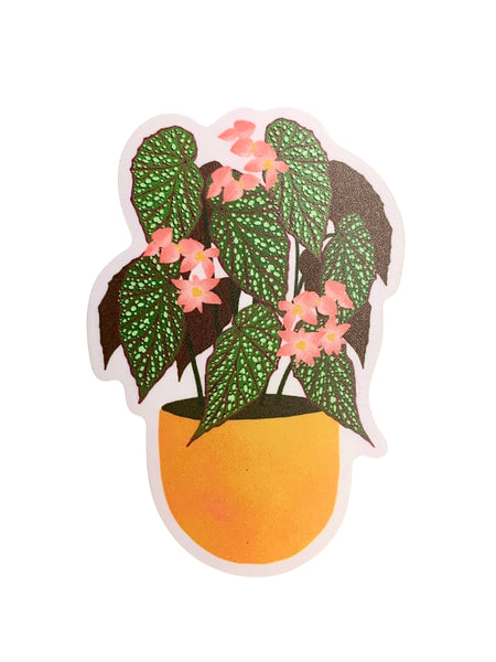 Sticker - Dragon Leaf Begonia