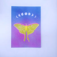 Risograph Print - Luna Moth 5x7”