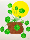 Risograph Print - Pilea 8.5x11