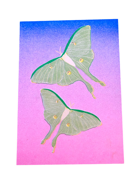 Risograph Print - Luna Moths Flying 5x7"