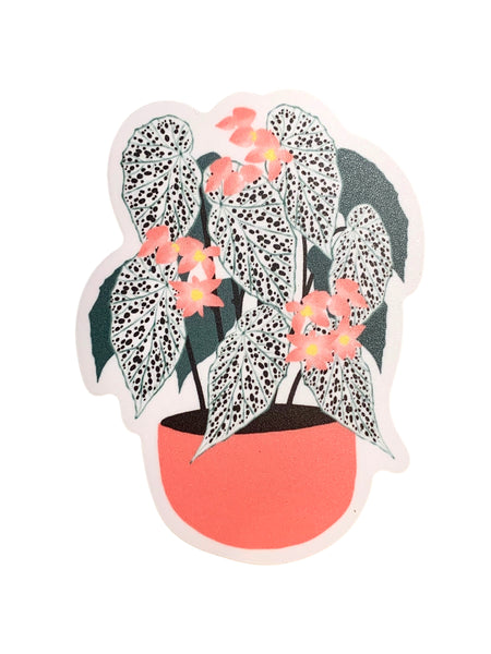 Sticker - Angel Leaf Begonia