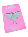 Risograph Print - Luna Moth on Pink 5x7"