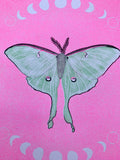 Risograph Print - Luna Moth on Pink 5x7"