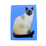 Sticker - Siamese Cat