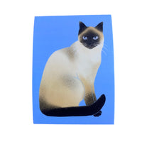 Sticker - Siamese Cat