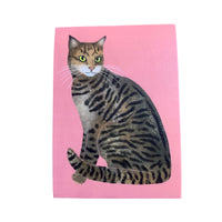 Sticker - TABBY CAT