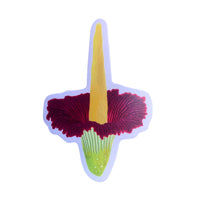 Sticker - Corpse Flower