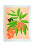 Risograph Print - Momo in Loquats 8.5x11