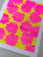 Risograph Print - Pink Daisy