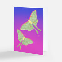 Card - Luna Moth