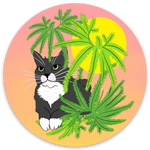 Sticker - Cat + Ferns