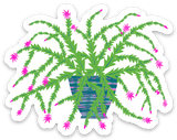 Sticker - Christmas Cactus