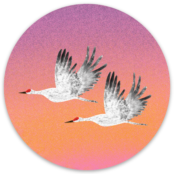 Sticker - Sandhill Cranes