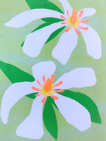 Risograph - Magnolias